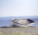 Fishing boat 2.jpg