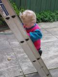 climbing daddys ladder