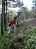 Norsk jeger
