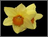 IMG_7691 copy.jpg