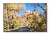 <b>Zion Canyon Scenic Drive</b><br><font size=2>Zion Natl Park, UT