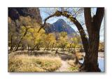 <b>Virgin River & Zion Canyon</b><br><font size=2>Zion Natl Park, UT