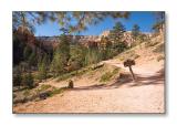 <b>Navajo Loop Trail</b><br><font size=2>Bryce Canyon Natl Park, UT