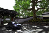 Kyoto - Shoren-in.jpg
