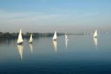 Felucca on the Nile River