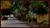 Pondicherry street scene