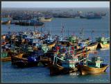 Mui Nes fishing fleet