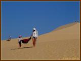 Family fun in sand dunes (white)