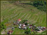 Batads rice terraces