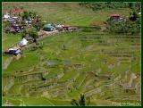 Batads rice terraces