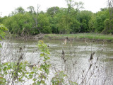 Red River still flooded