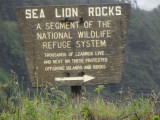 Sea Lion Rocks