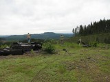 Grouse Seeking