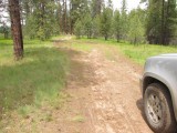 Dusty Road - one of many