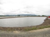 Sewage Pond