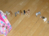 Zoes Menagerie