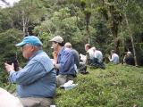 Lunch in the Field