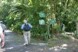 Birding at Park
