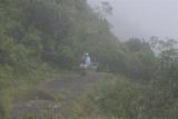 Naomi In the Mist