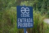 Cedae Trail