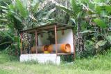 Chlorine canisters