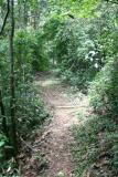Trail