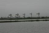 Windmills