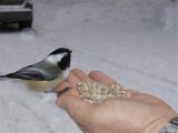 Mmmm Food