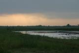 Dawn at Rice Field