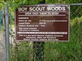 Boy Scout Woods