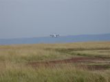 Plane Coming In