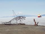 Creature, Palmer, Mt Discover, McMurdo Sound.JPG