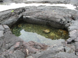 Sub-pool on old lava