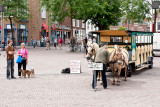 20090721_middelburg_0853.jpg