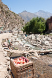 20090815_berber_1592.jpg