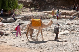 20090815_berber_1614.jpg