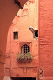 20090810_marrakech_1254.jpg