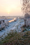 20101127_Haren-4.jpg