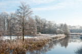 20101128_Haren-1.jpg