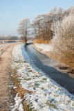 20101128_Haren-12.jpg