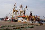 Lauwersoog, fishing fleet