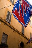 flag against ocher background