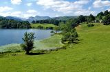 Loughrigg Tarn 2