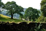 view from the coffin stone