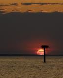 Patuxent Sunrise_031.jpg
