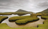 grass islands