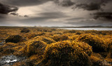 low tide