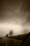 on the road