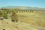 122008081.jpg