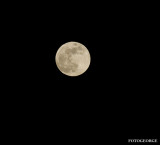 Moon-Perigee011009_11.jpg